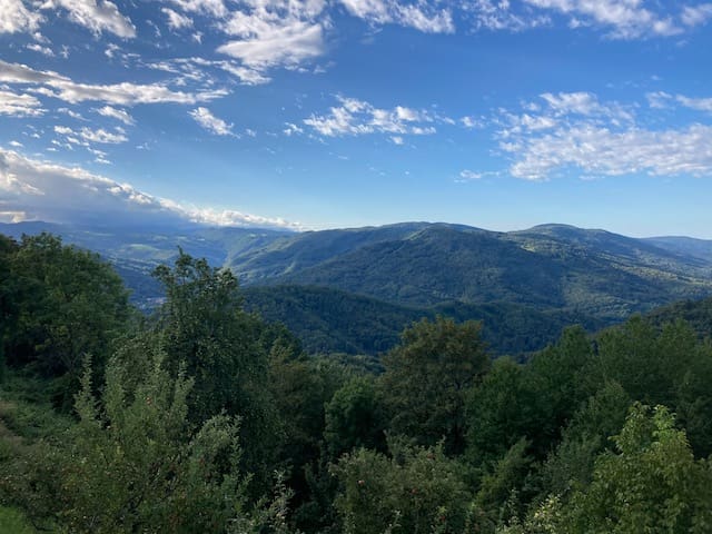 view from apartment